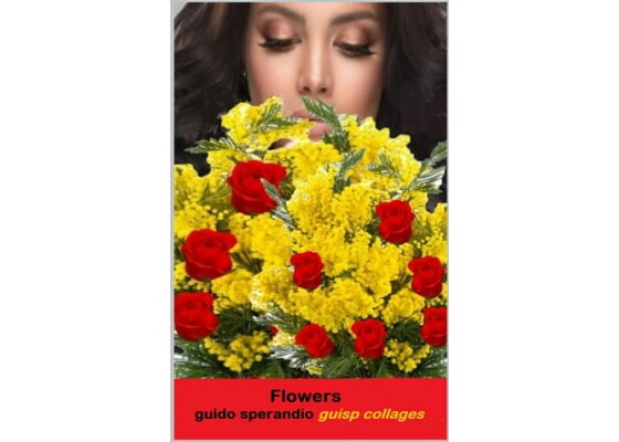 楽天kobo電子書籍ストア Flowers Guido Sperandio 楽天kobo電子書籍ストア Flowers Guido Sperandio